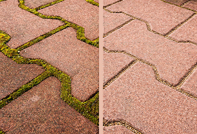 Jak usunąć mech z kostki brukowej? Najskuteczniejsza metoda bez chemii.