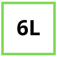 6L