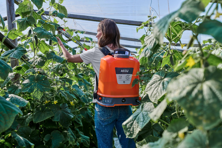 Kwazar ACCU 16L - Opryskiwacz Akumulatorowy Plecakowy pol_pl_Kwazar-ACCU-16L-Opryskiwacz-Akumulatorowy-Plecakowy-6325_2