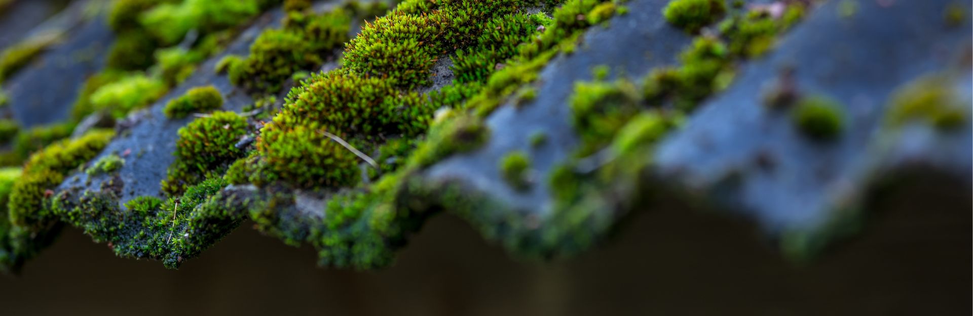 Nowy Kenochem banner 1920x625 5